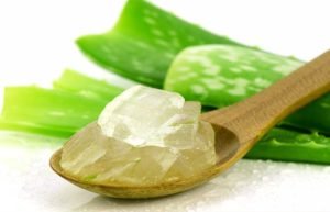 Is-Aloe-Vera-Good-For-ringworm aloe vera