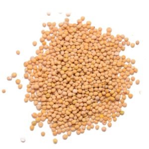Mustard seed Mustard seed